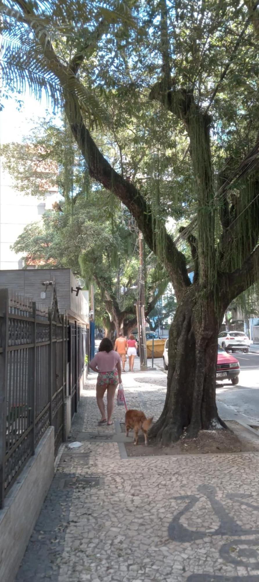 Albergue Luz De Regina Bahia