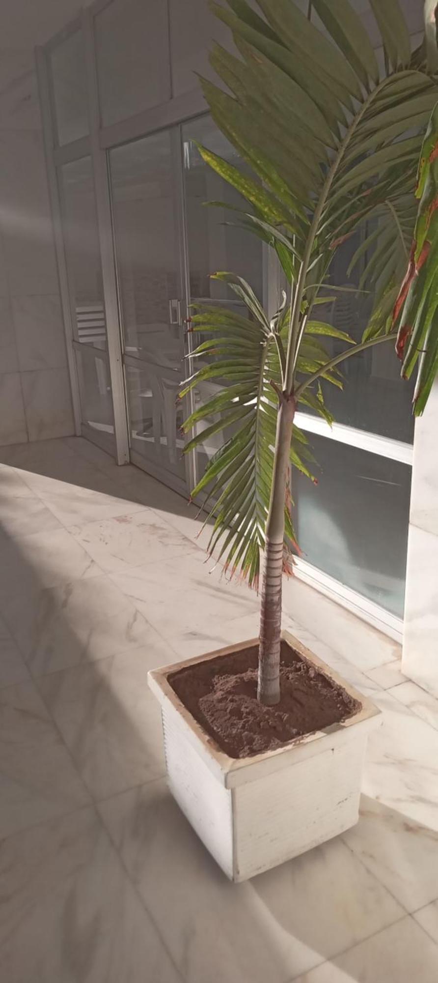 Albergue Luz De Regina Bahia